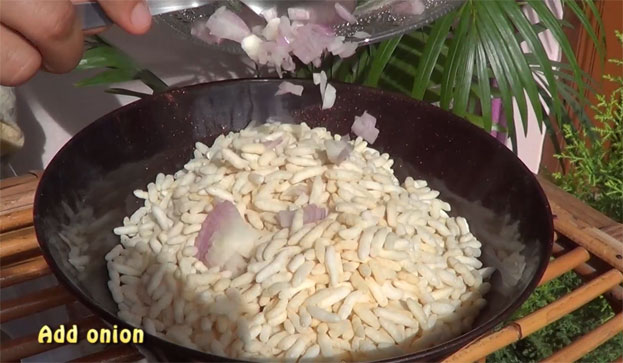 Add Onion
