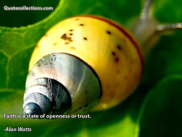 Alan watts